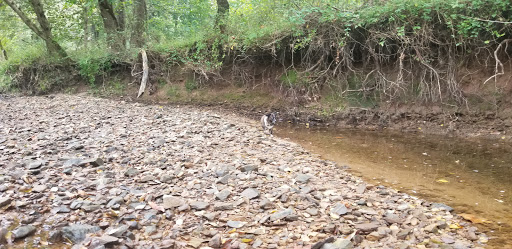 Nature Preserve «Wilma Quinlan Nature Preserve», reviews and photos, Mathews Ave, New Britain, PA 18901, USA