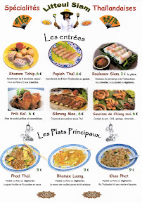 Aliment-réconfort du Restauration rapide Litteul Siam - Spécialités Thaïlandaises. à Colombiers - n°2