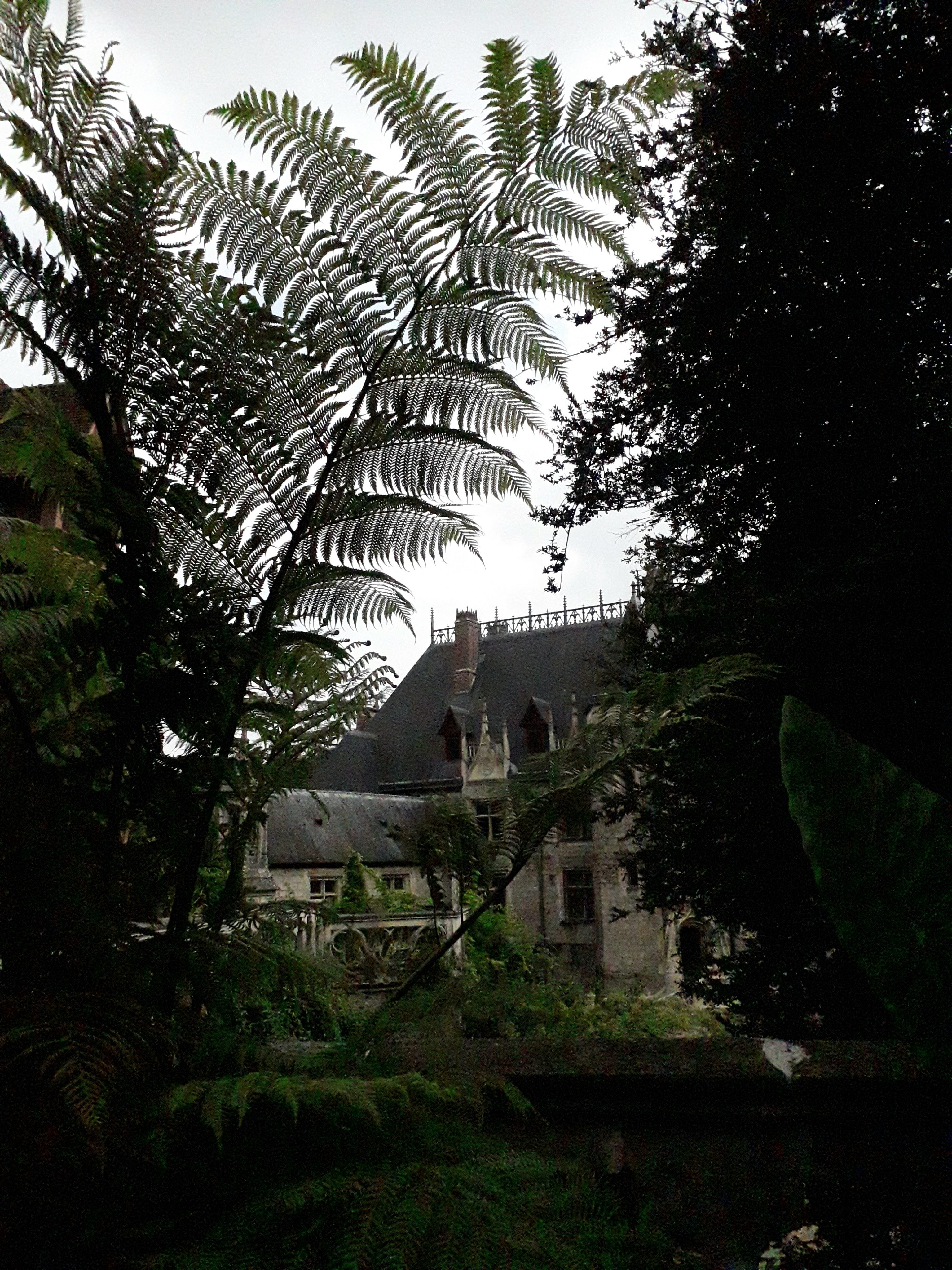 Photo n° 37 de l'avis de Le.o fait le 22/07/2022 à 15:09