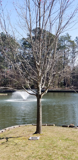 Park «Roswell Area Park», reviews and photos, 10495 Woodstock Rd, Roswell, GA 30075, USA
