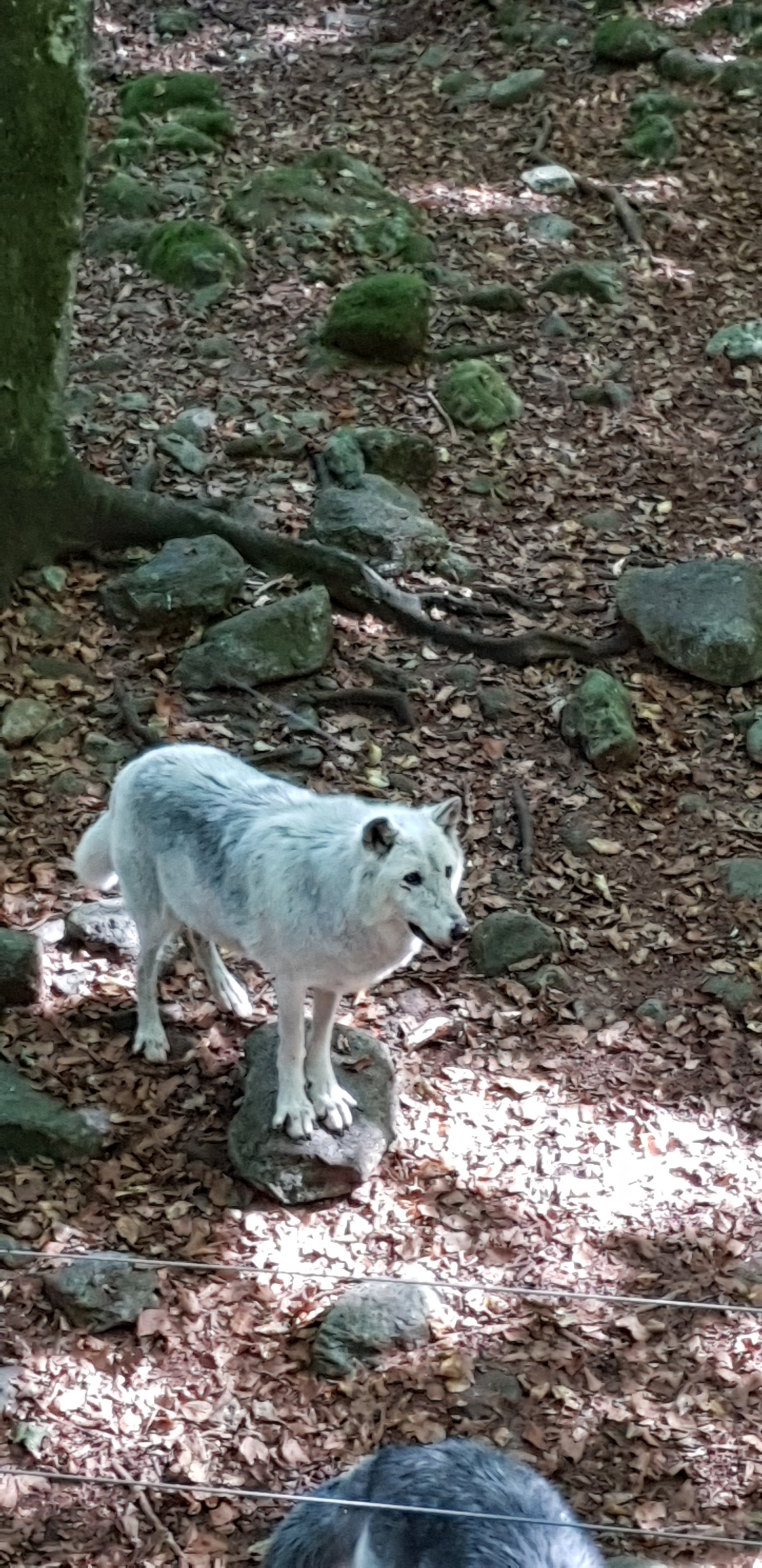Photo n° 24 de l'avis de Christophe.e fait le 26/09/2018 à 10:29