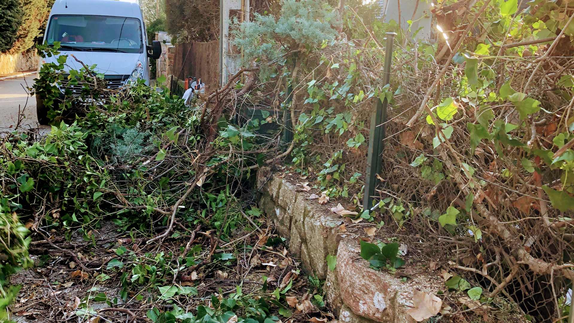 Multiservicios Amazonasgreen