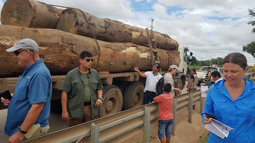 Policia Forestal