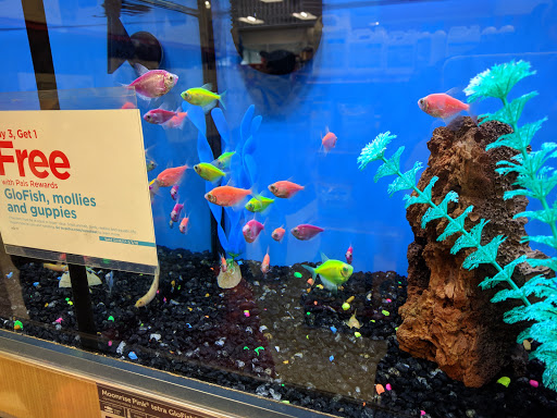 Pet Supply Store «Petco Animal Supplies», reviews and photos, 1591 Sloat Blvd, San Francisco, CA 94132, USA