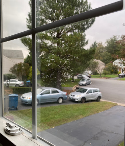 Painter «Five Star Painting Loudoun», reviews and photos, 43895 Glenhazel Dr, Ashburn, VA 20147, USA