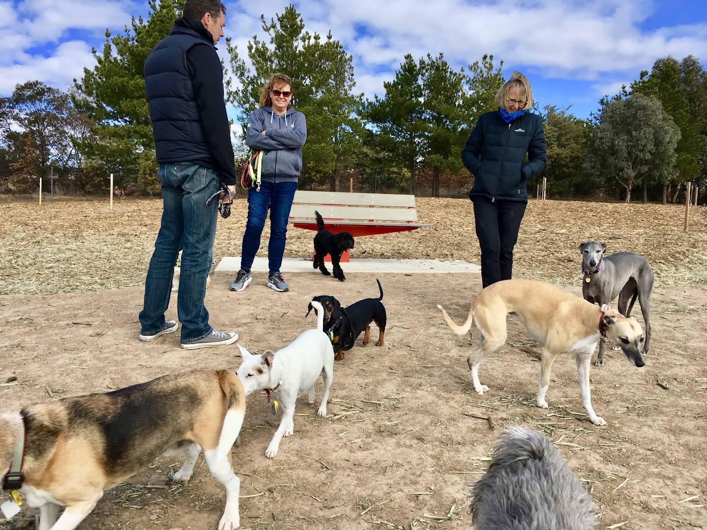 Harbor Club Dog Park