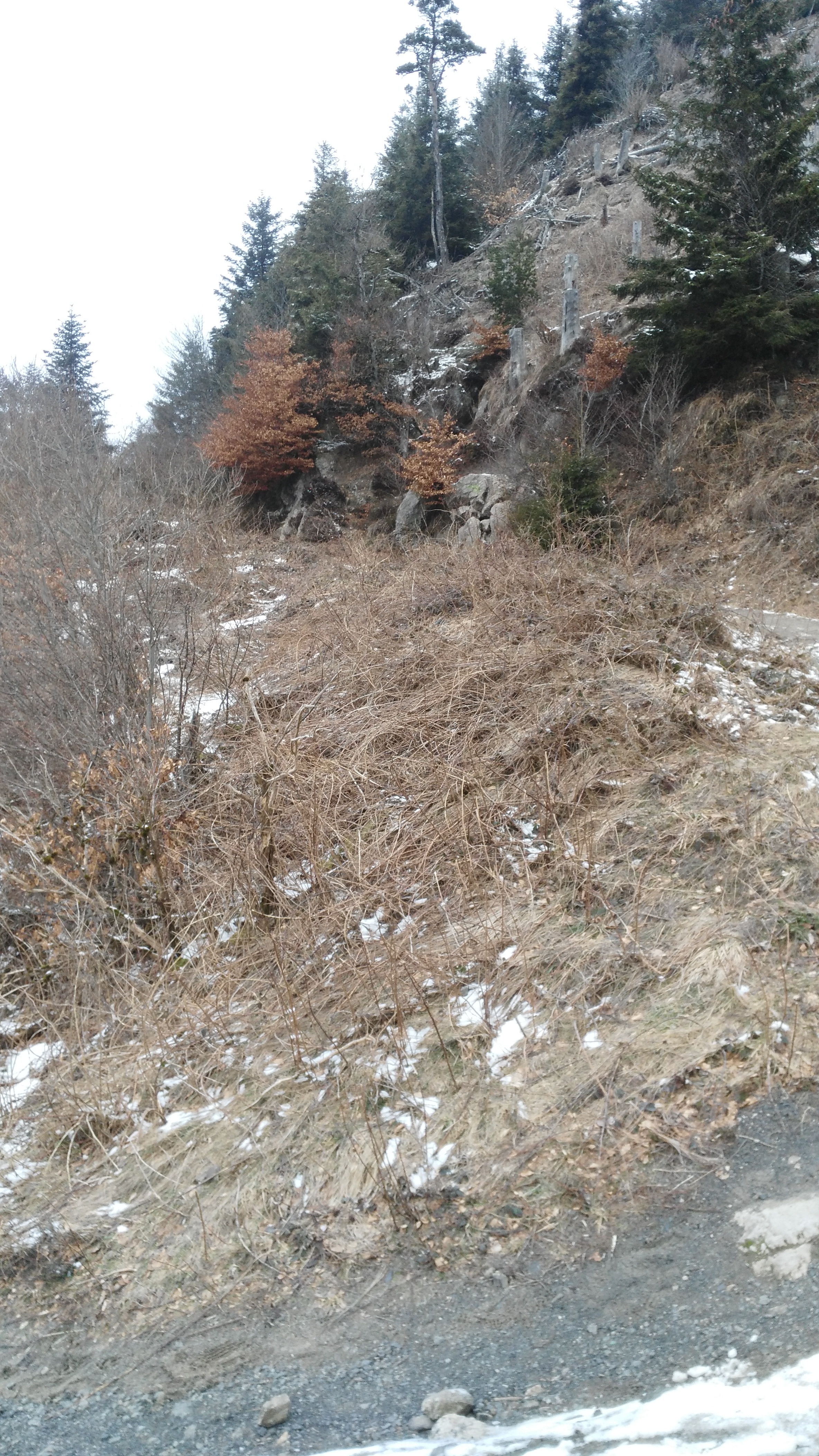 Photo n° 8 de l'avis de HP.o fait le 23/02/2018 à 19:52
