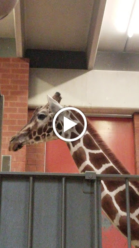 Zoo «Monkey Island», reviews and photos, 8 E 23rd Ave, Denver, CO 80205, USA