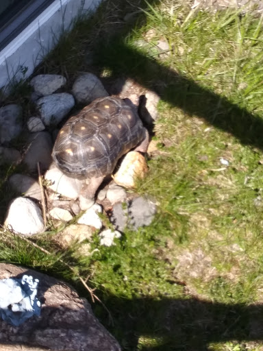 Pet Supply Store «Family Pet Store», reviews and photos, 38 Starrett Dr, Belfast, ME 04915, USA