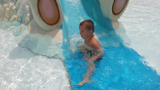 Public Swimming Pool «Union City Swimming Pool», reviews and photos