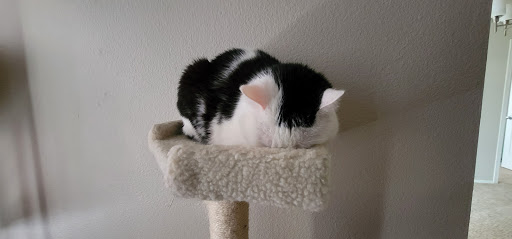 Pet Supply Store «Mud Bay», reviews and photos, 1018 164th St SE, Mill Creek, WA 98012, USA