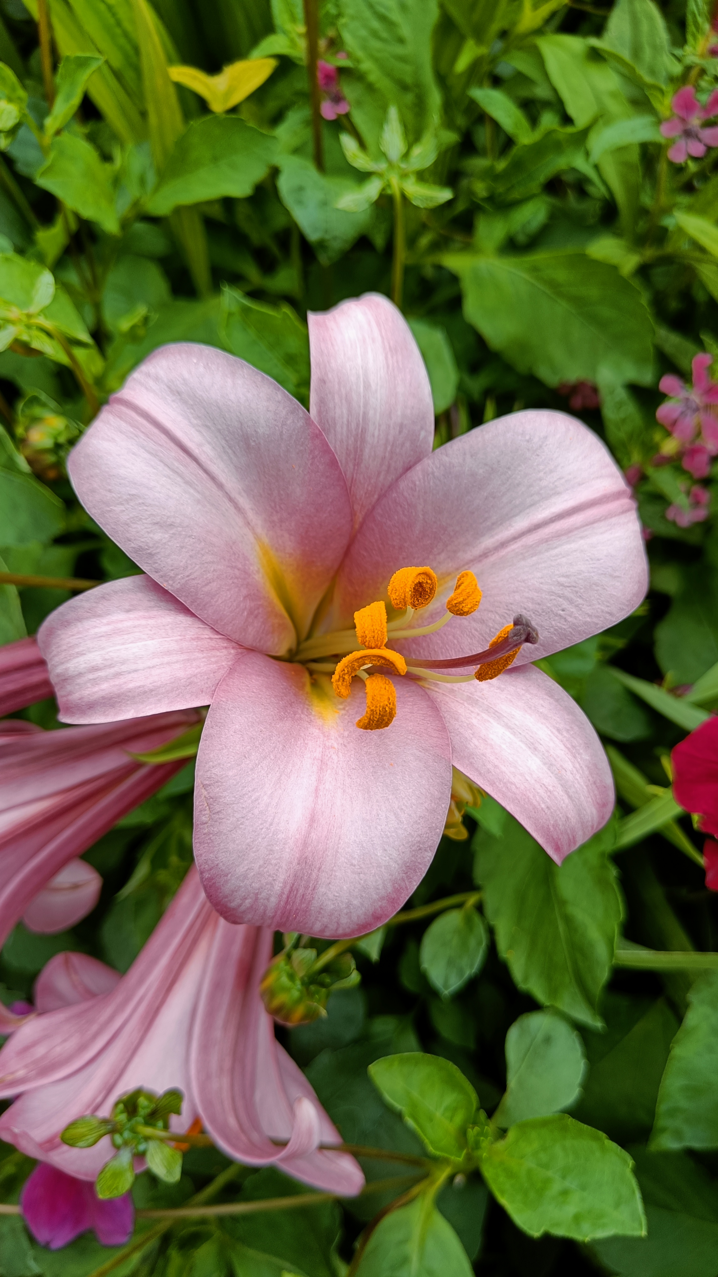 Photo n° 35 de l'avis de Eliot.o fait le 28/07/2023 à 16:35