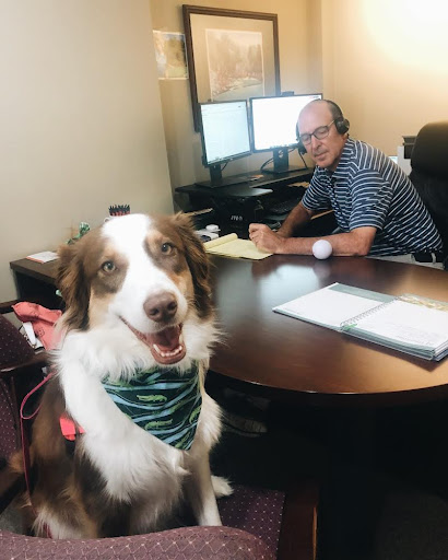 Auto Insurance Agency «Roger OConnell State Farm Insurance Agency», reviews and photos