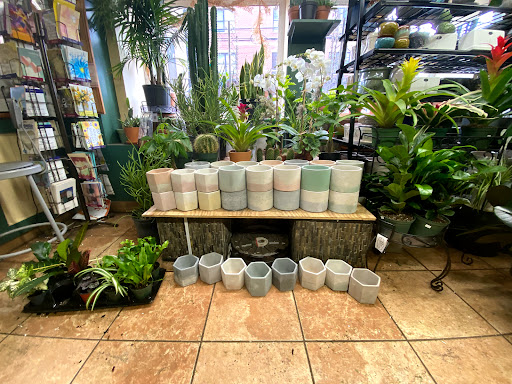 Florist «Bouquets and Baskets», reviews and photos, 548 Jersey Ave, Jersey City, NJ 07302, USA