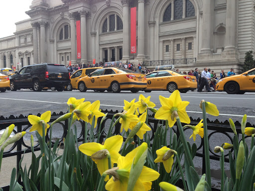 Art Museum «The Metropolitan Museum of Art», reviews and photos, 1000 5th Ave, New York, NY 10028, USA