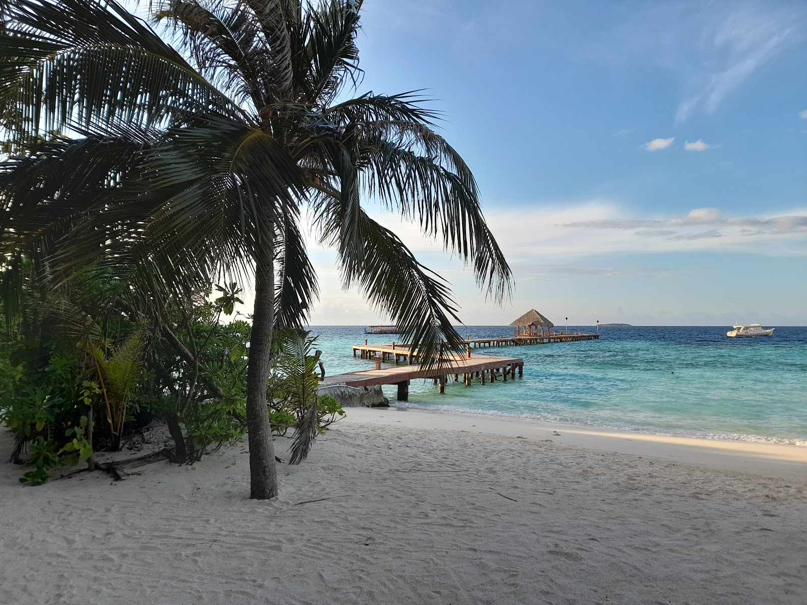 Eriyadu Island Resort photo #8