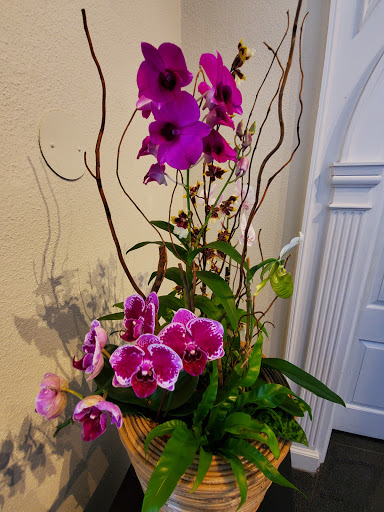 Aquarium «Mote Marine Laboratory & Aquarium», reviews and photos, 1600 Ken Thompson Pkwy, Sarasota, FL 34236, USA