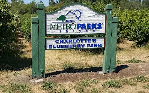 Charlotte's Blueberry Park image