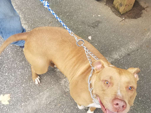 Motorcycle Dealer «Cycle World of Athens», reviews and photos, 4225 Atlanta Hwy, Athens, GA 30606, USA