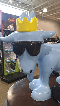 DICK'S Sporting Goods - Photo 6 - Car repair in Rockaway Township, NJ, Allentown