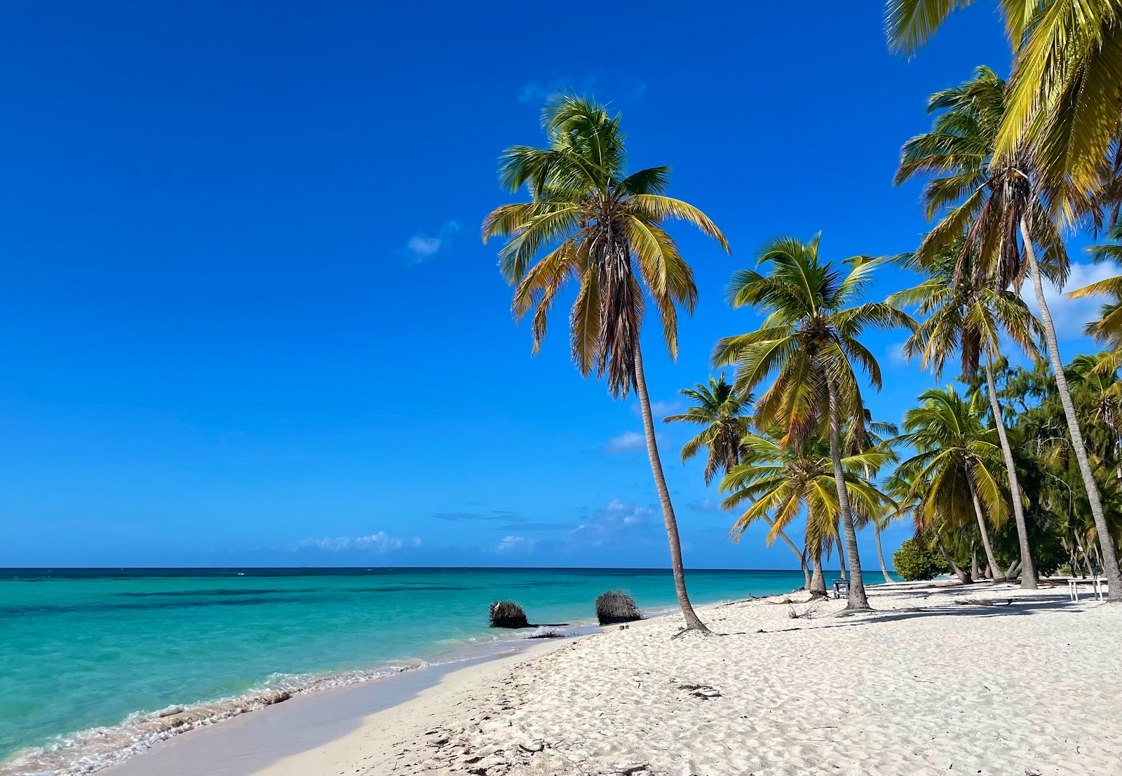 Bayahibe Plajı'in fotoğrafı geniş ile birlikte