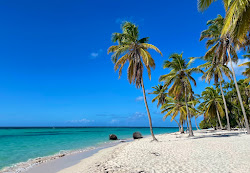 Bayahibe Plajı'in fotoğrafı geniş ile birlikte