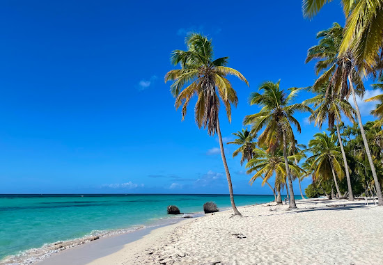 Bayahibe Plajı