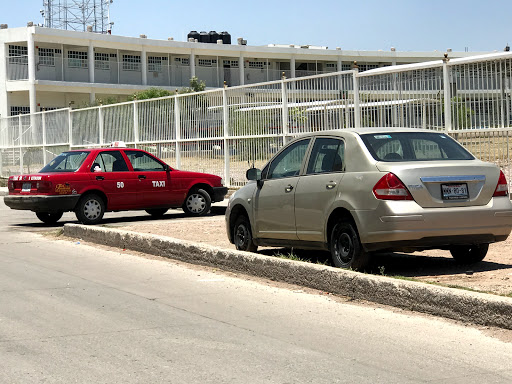 Servicio de taxis Aguascalientes