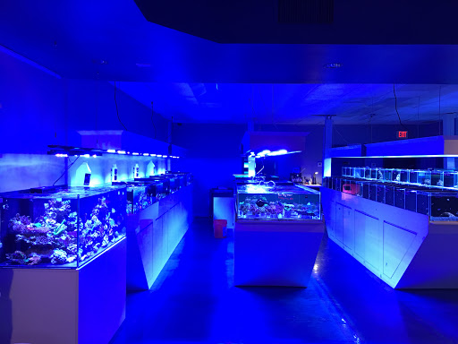 Aquarium «Aquatic Jewels», reviews and photos, 2141 Stirling Rd, Fort Lauderdale, FL 33312, USA