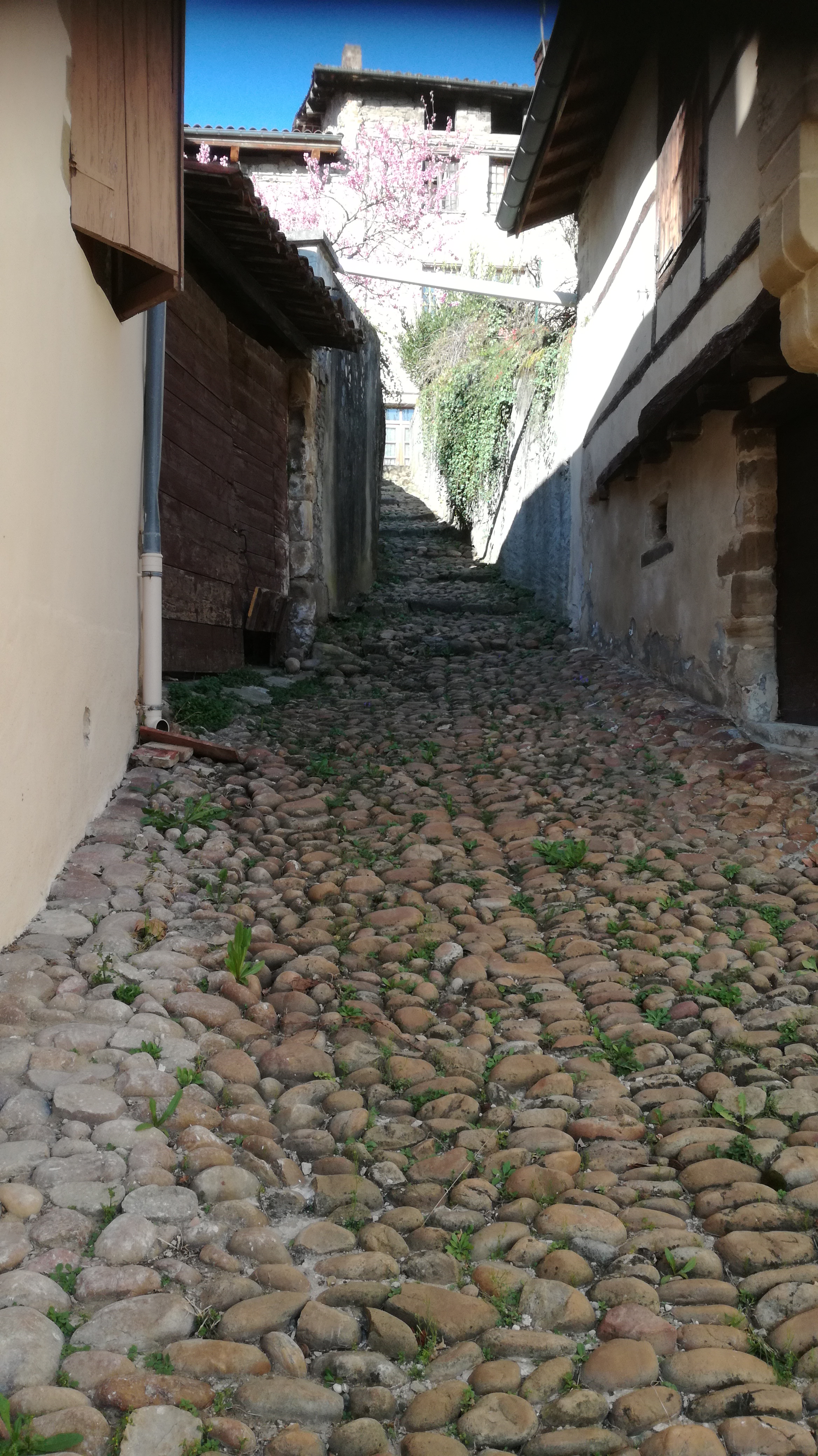 Photo n° 4 de l'avis de Catherine.A fait le 24/03/2019 à 19:50