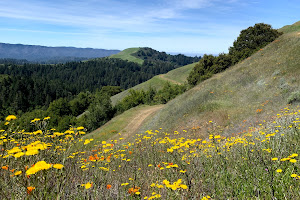 Russian Ridge Open Space Preserve