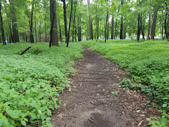 Enos Colburn Park