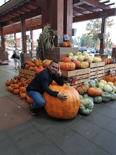 Grocery Store «Haggen Food & Pharmacy», reviews and photos, 1406 Lake Tapps Pkwy E, Auburn, WA 98092, USA