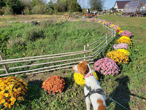 Cider Mill «Virtue Cider», reviews and photos, 2170 62nd St, Fennville, MI 49408, USA