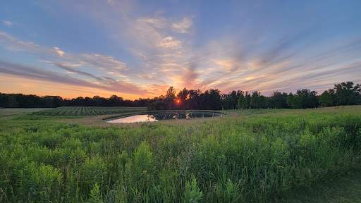 Wedding Venue «Hidden Vineyard Wedding Barn», reviews and photos, 6337 Snyder Rd, Berrien Springs, MI 49103, USA
