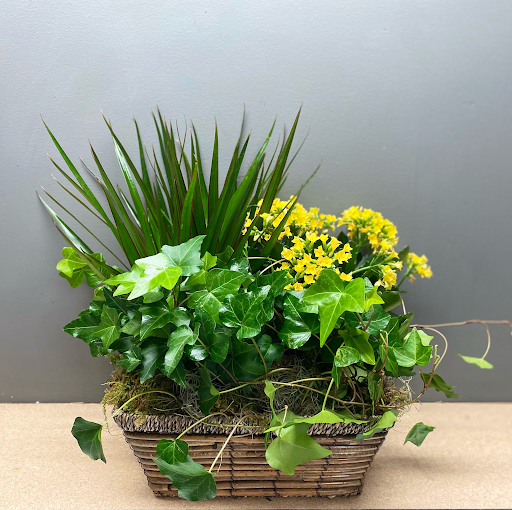 Florist «Crescent Floral & Gifts», reviews and photos, 2140 Wealthy St SE, Grand Rapids, MI 49506, USA