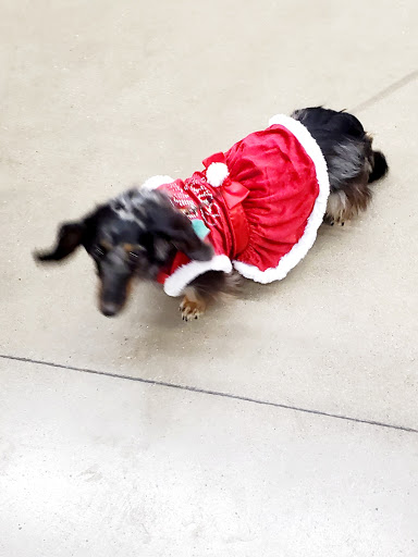 Pet Supply Store «Petco Animal Supplies», reviews and photos, 3212 16th St SW, Minot, ND 58702, USA