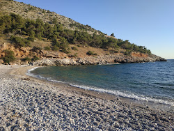 Paralia Giali'in fotoğrafı vahşi alan