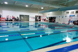 Rosenblatt Pool image