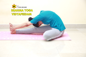 Brahmayoga Vidyapeedam-Online Yoga Classes-Yoga Therapy-Personal & Group Classes-Yoga Teachers Training Courses-Yoga Center image