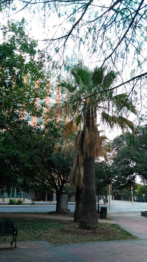 Park «Milam Park», reviews and photos, 500 W Commerce St, San Antonio, TX 78207, USA
