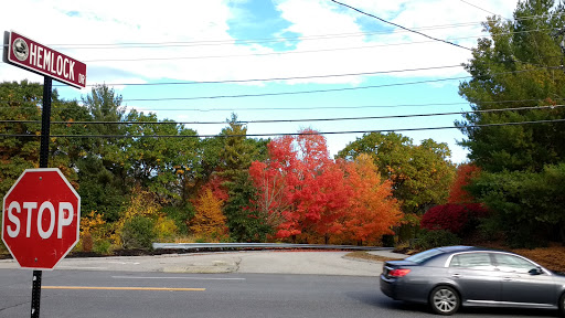 Used Car Dealer «Continental Auto Sales Inc», reviews and photos, 338 Main St A, Northborough, MA 01532, USA