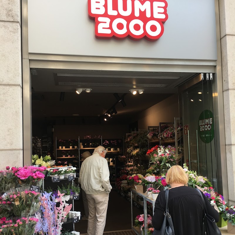 Blume 2000 Hannover PopUp