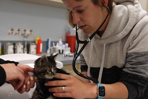 Veterinary Urgent Care Center - Plymouth image