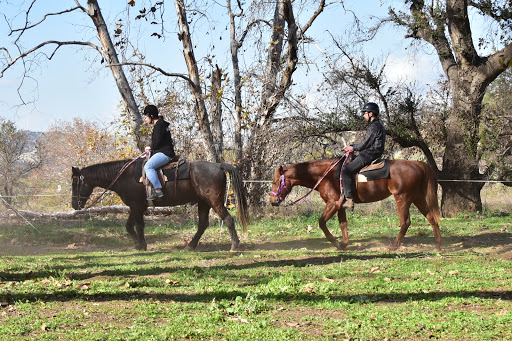 Country Trails & Riding School