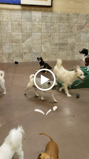 Pet Supply Store «PetSmart», reviews and photos, 315 Gellert Blvd, Daly City, CA 94015, USA