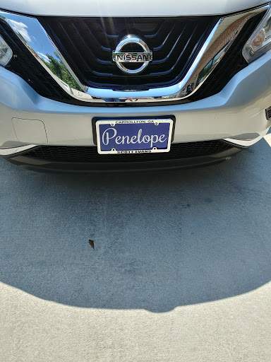  «Scott Evans Nissan», reviews and photos, 725 Bankhead Hwy, Carrollton, GA 30117, USA