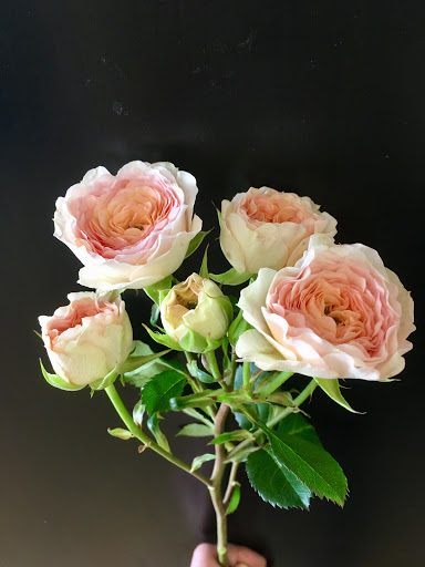 Florist «Parker Blooms», reviews and photos, 11153 S Parker Rd, Parker, CO 80134, USA