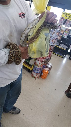 Discount Store «Dollar General», reviews and photos, 29645 S Dixie Hwy, Homestead, FL 33033, USA