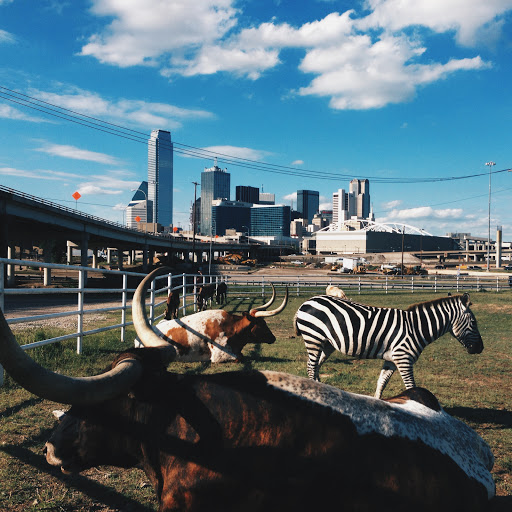 Convenience Store «Fuel City», reviews and photos, 801 S Riverfront Blvd, Dallas, TX 75207, USA